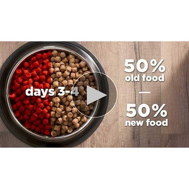 Chicken Dry Cat Food W98289