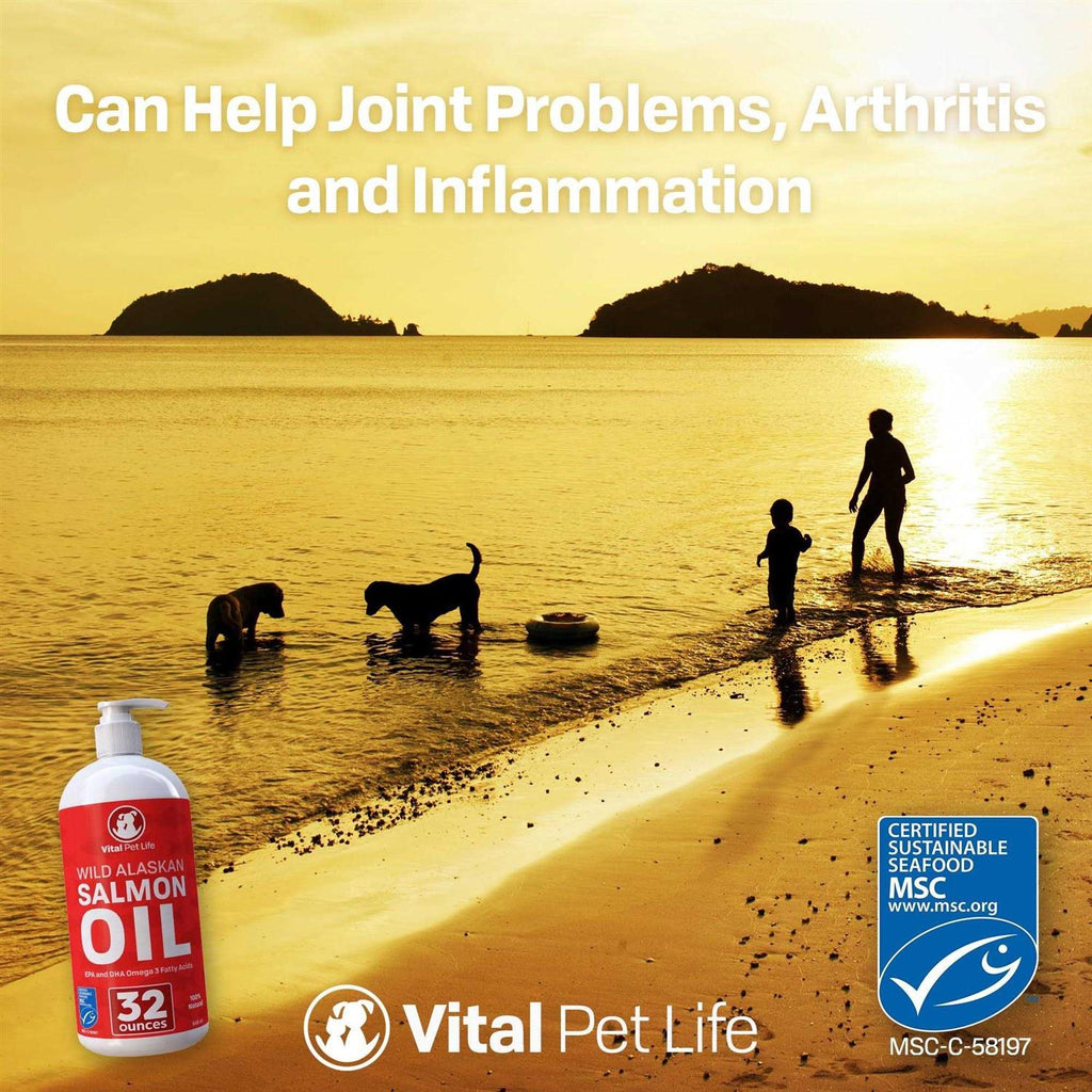 Salmon Oil for Dogs & Cats B447