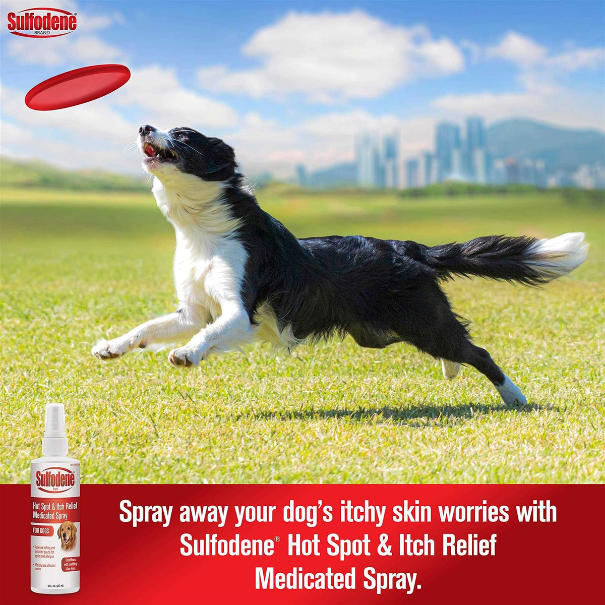 Medicated Itch Relief Spray Z7947