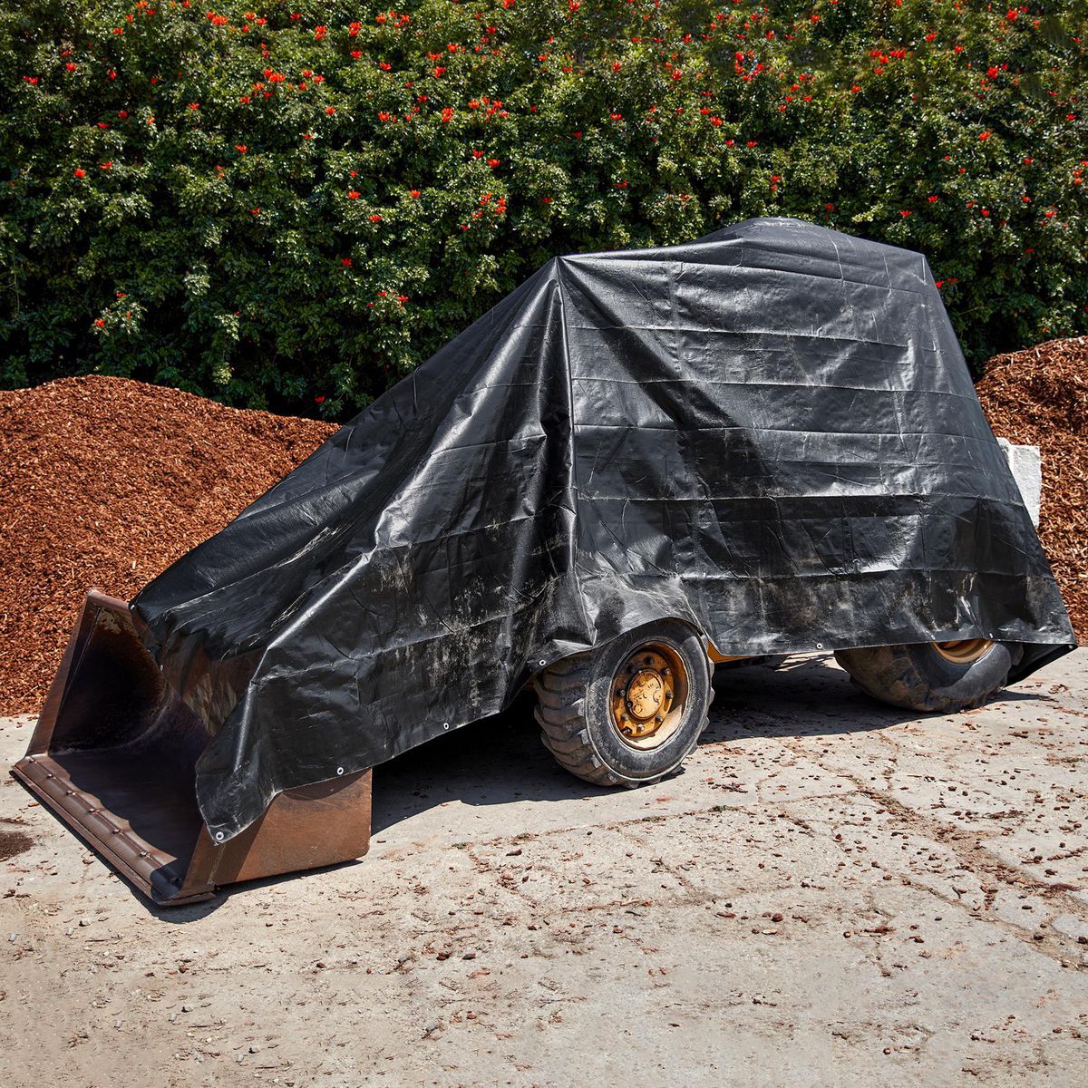 16 ft. x 20 ft. Weather-Resistant Tarp H76876
