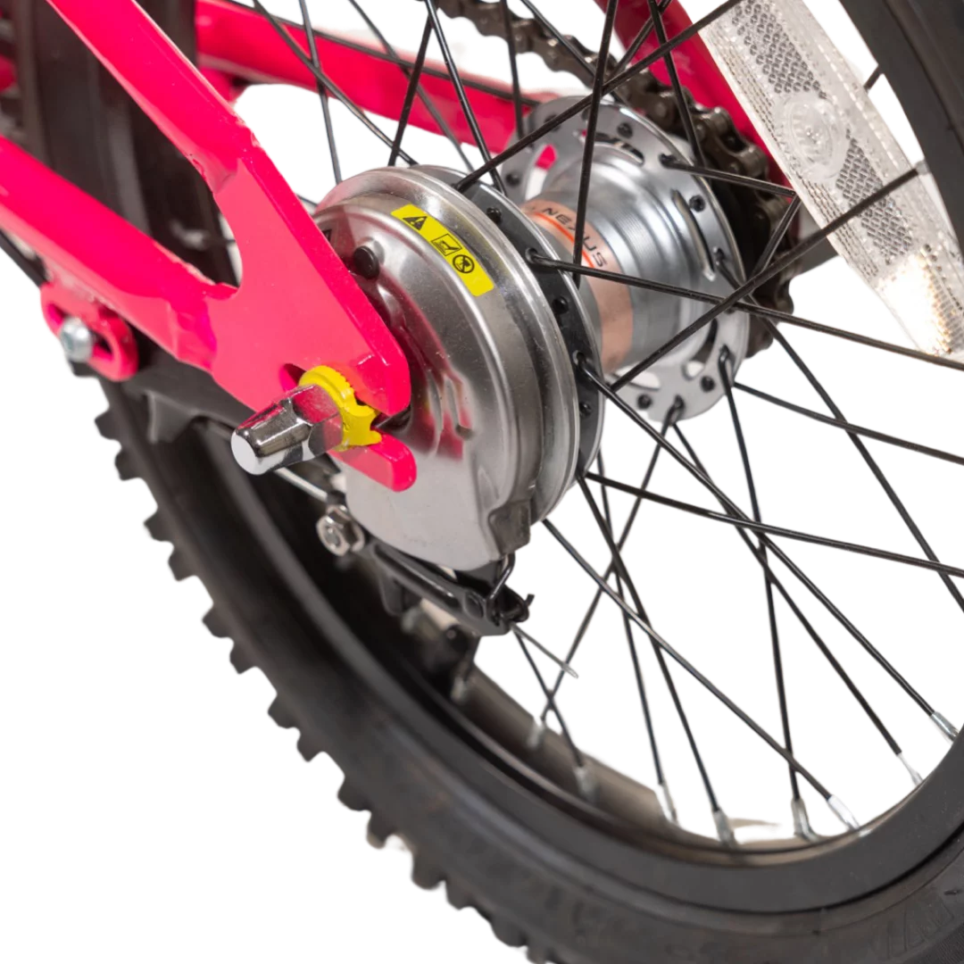 16 Inch 3 Speed Kids Bike with Internal Gears A10825