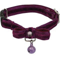 Purple Cat Collar with Bell O777423