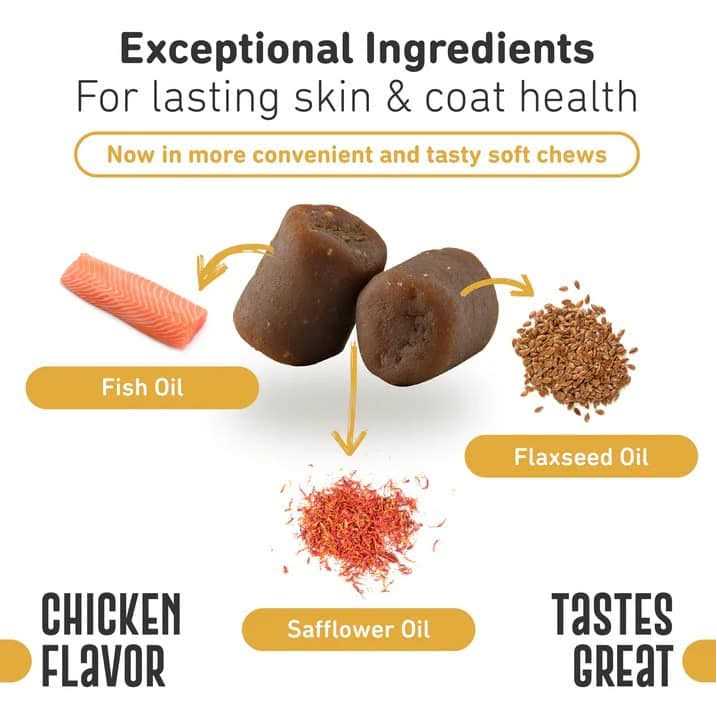 Healthy Skin & Coat P2381