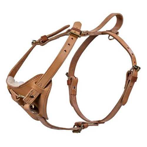 Leather Tracking Harness R1827