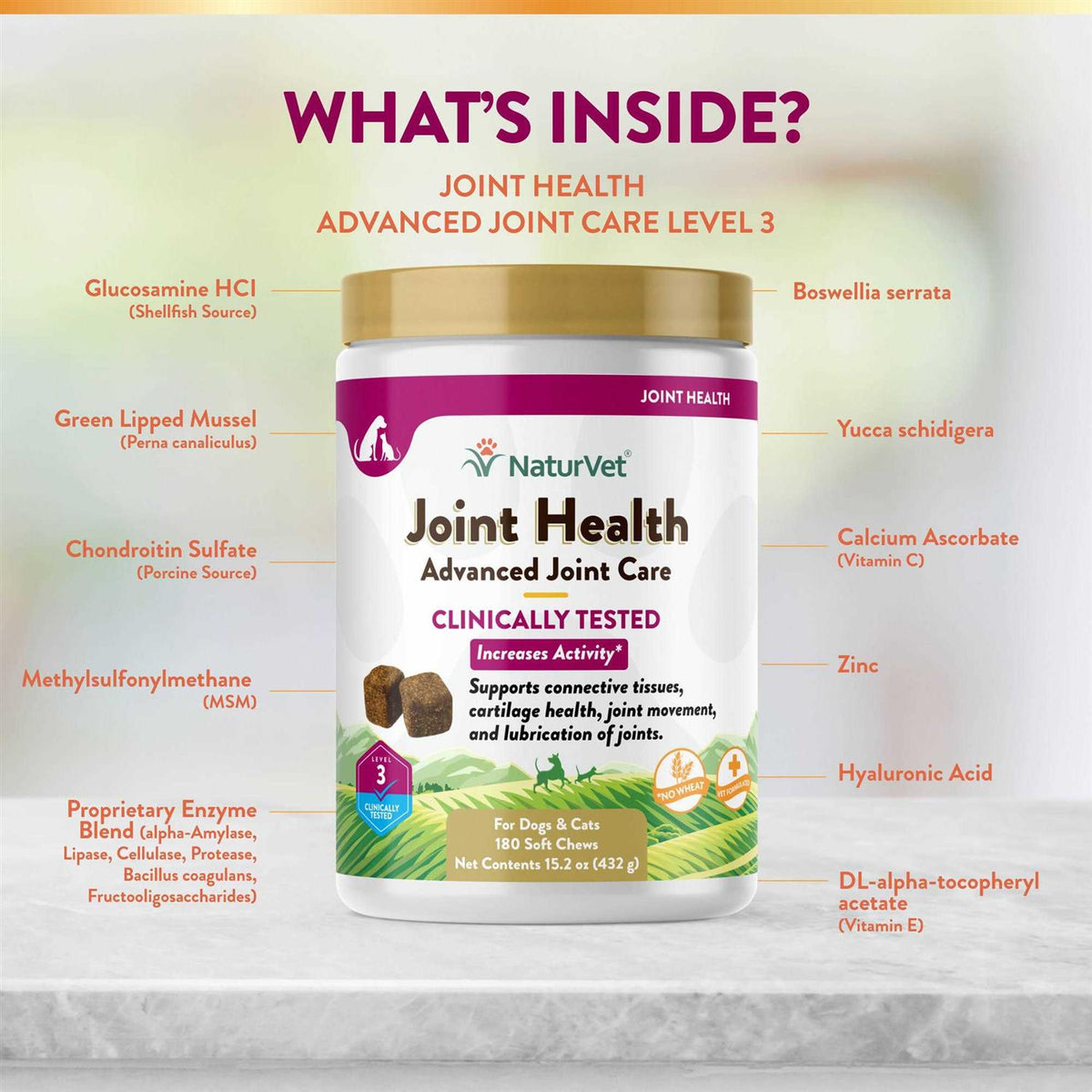 Joint Health Soft Chews for Dogs S90709