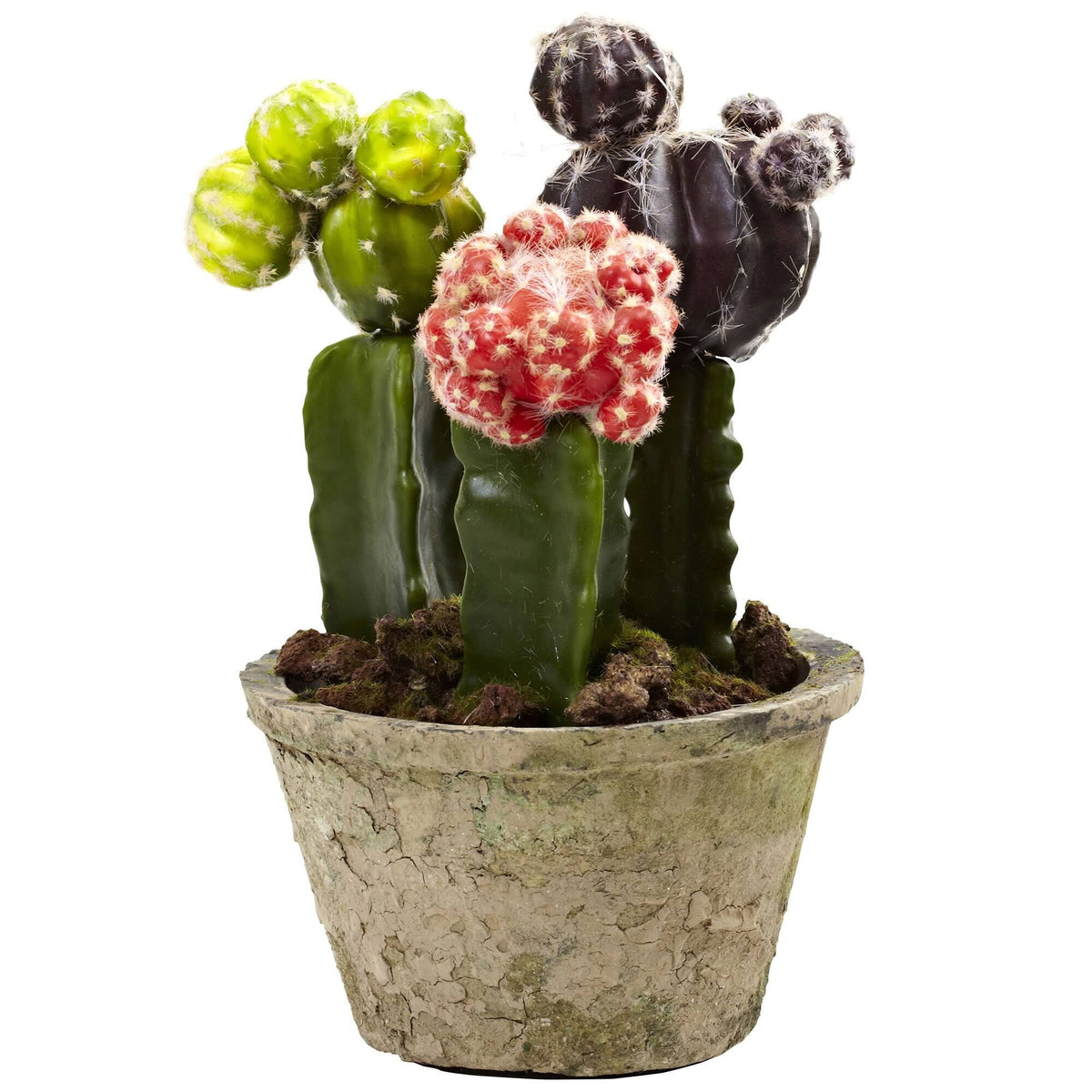 Colorful Cactus Gardens Set of 2 T603973