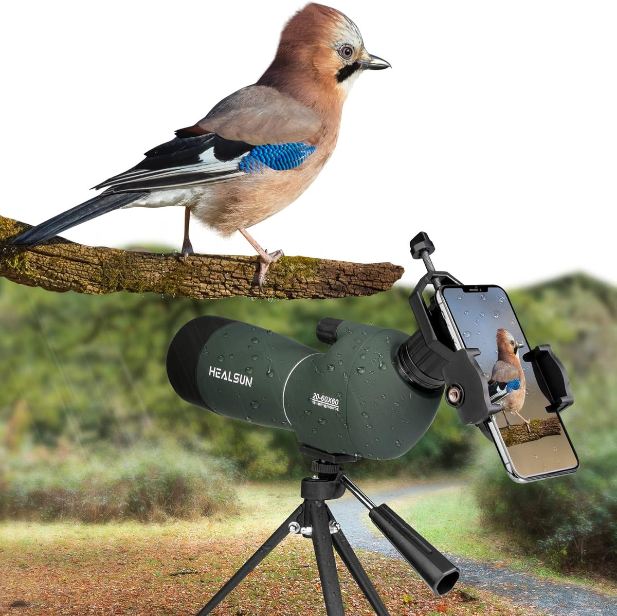 20-60x60 Spotting Scope with Carrying Case, Tripod and Smartphone Adapter M453