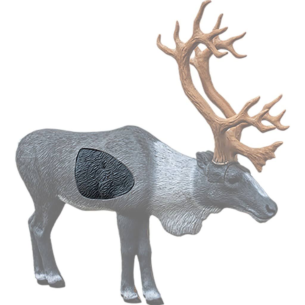 Woodland Caribou Insert Y695731