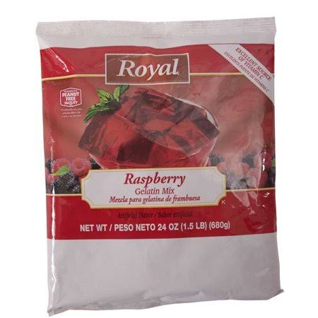Raspberry Gelatin 24 Ounce J341