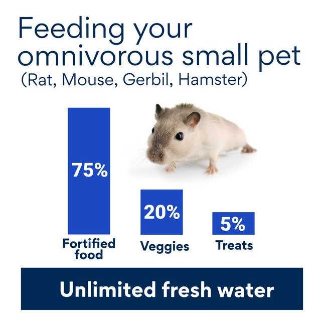 Chamomile Small Animal Treat H129541