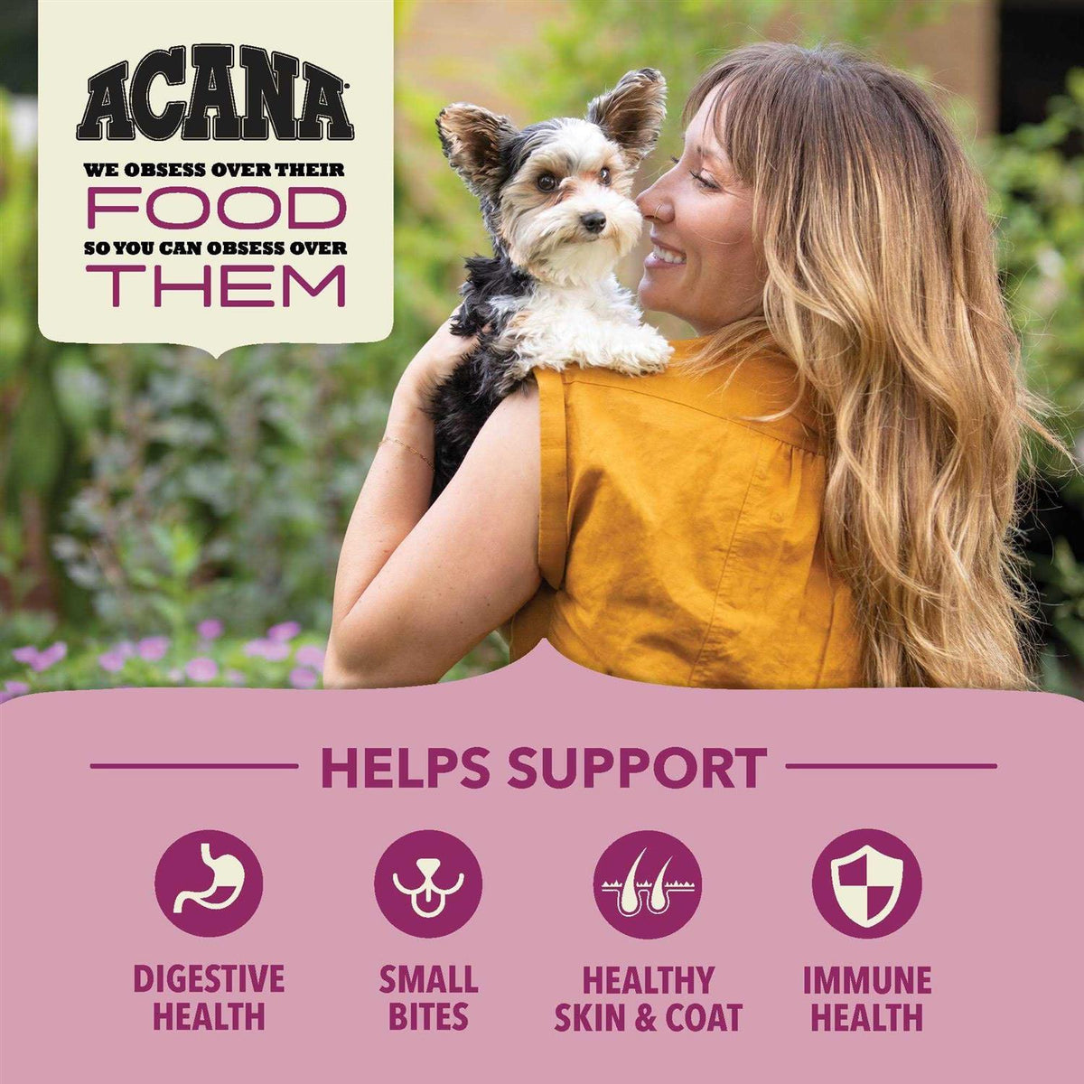 Dry Dog Food Z426
