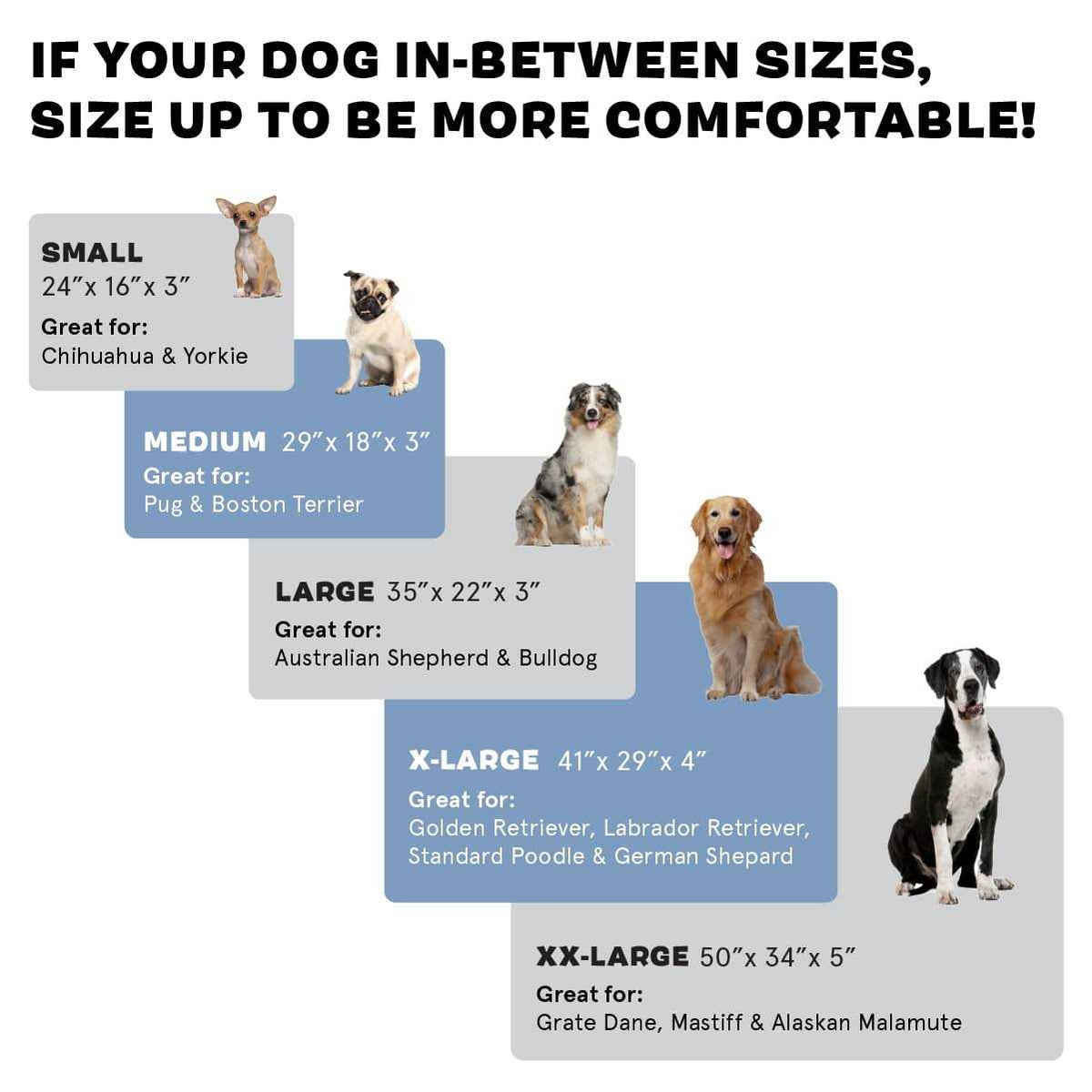Memory Foam Platform Dog Bed Plush Mattress M575