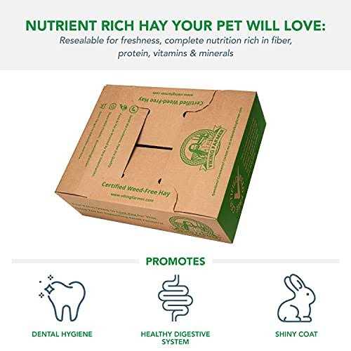 Alfalfa Hay for Rabbits & Small Pets O278826