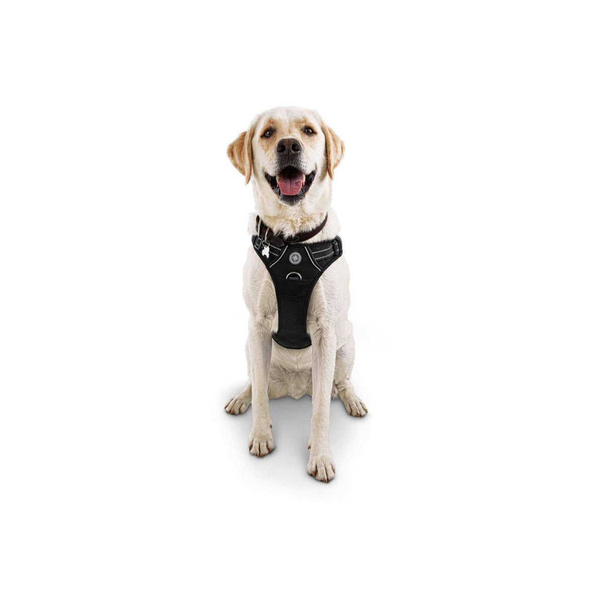 Black Front Walking Dog Harness K25022
