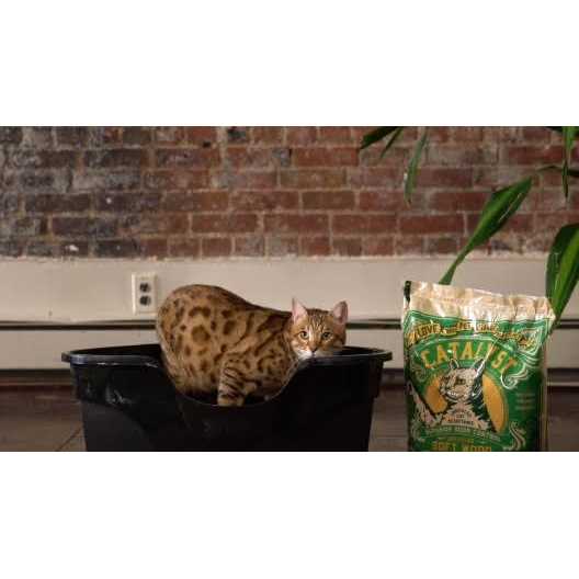 Cat Litter G98594
