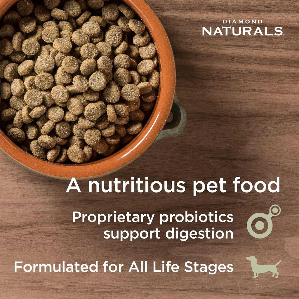 Salmon & Potato Dry Dog Food V72563