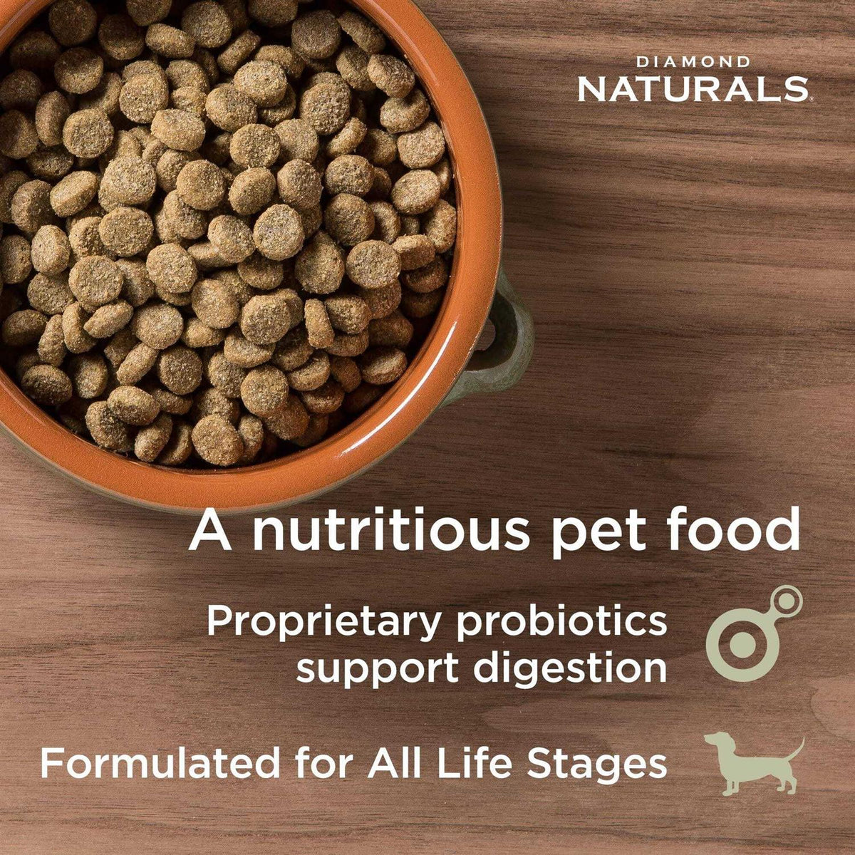 Salmon & Potato Dry Dog Food V72563
