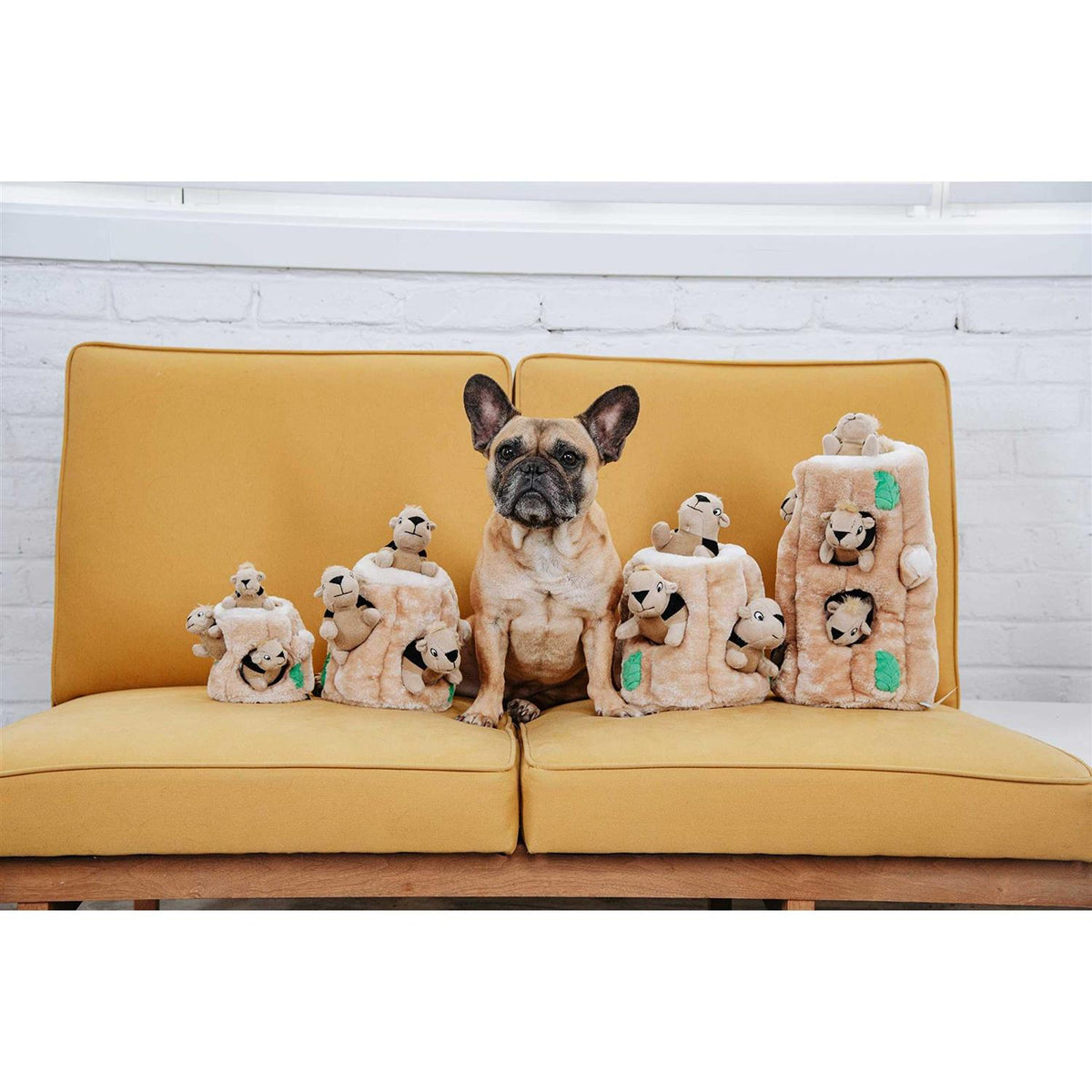 Hide A Squirrel Dog Toy D97418