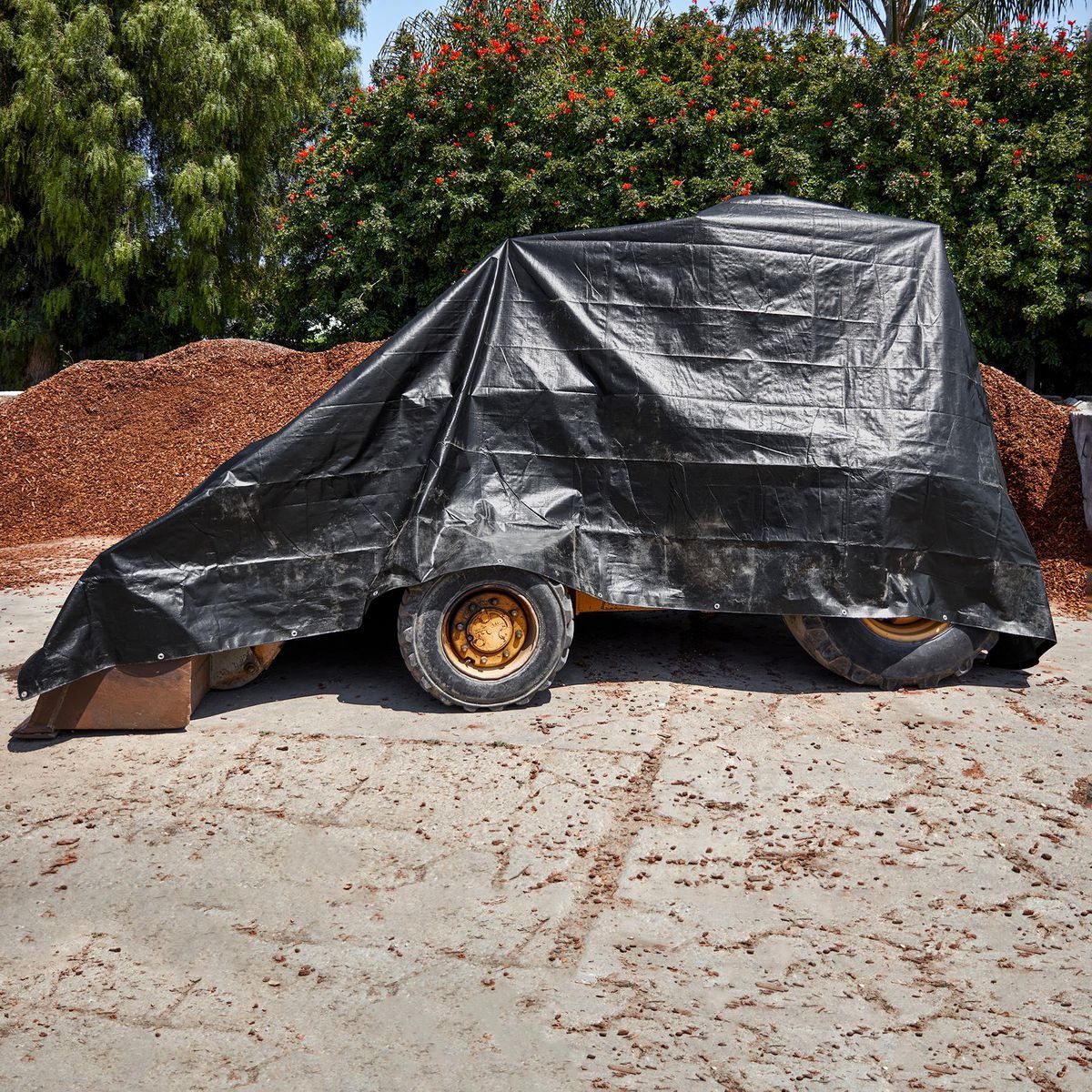 16 ft. x 20 ft. Weather-Resistant Tarp H76876