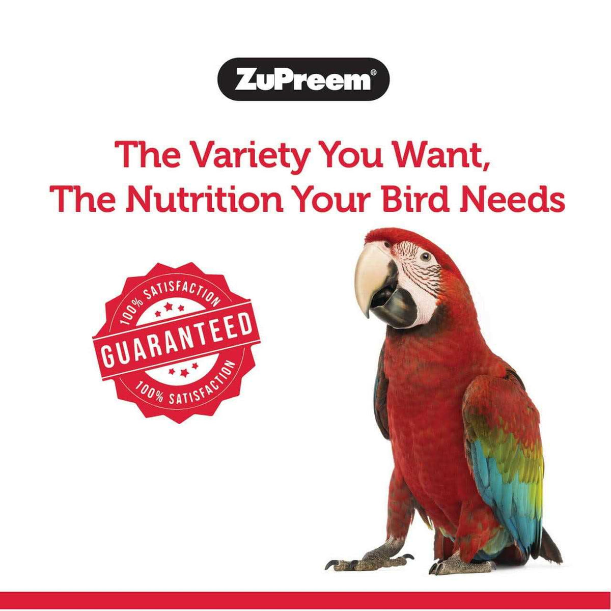 FruitBlend Flavor Bird Food Large L3433