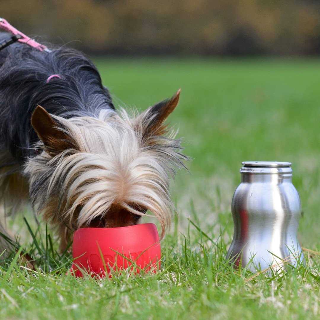 Stainless Steel Dog Water Bottle S3210