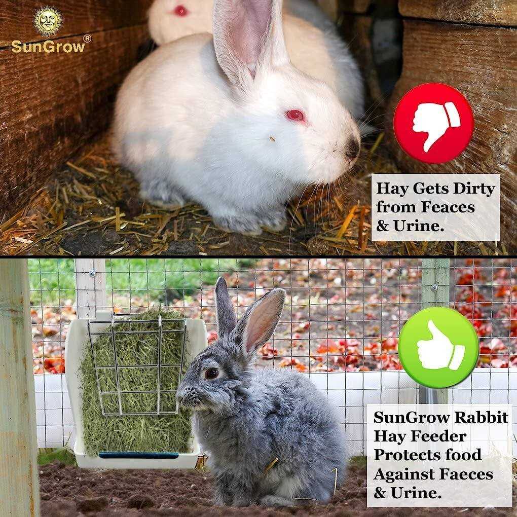 Rabbit & Guinea Pig Hay Feeder Rack C979