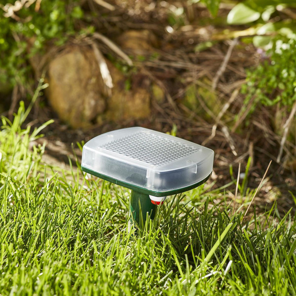 Solar Mole and Gopher Chaser V141498