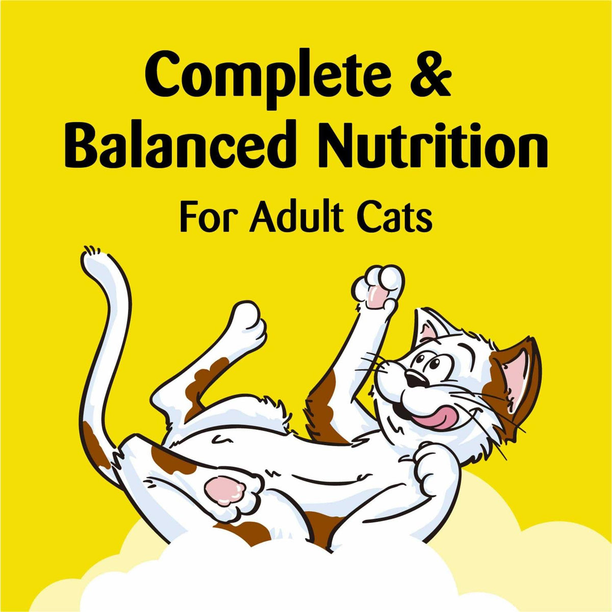 Cat Treats Catnip M632501