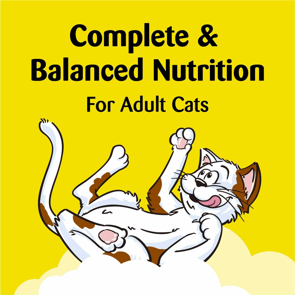 Treat Dispensing Cat Toy J134