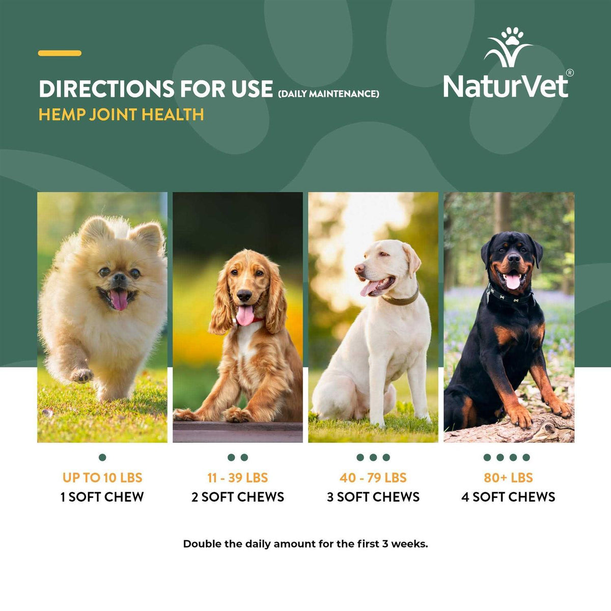 Hemp Joint Health for Dogs H460958