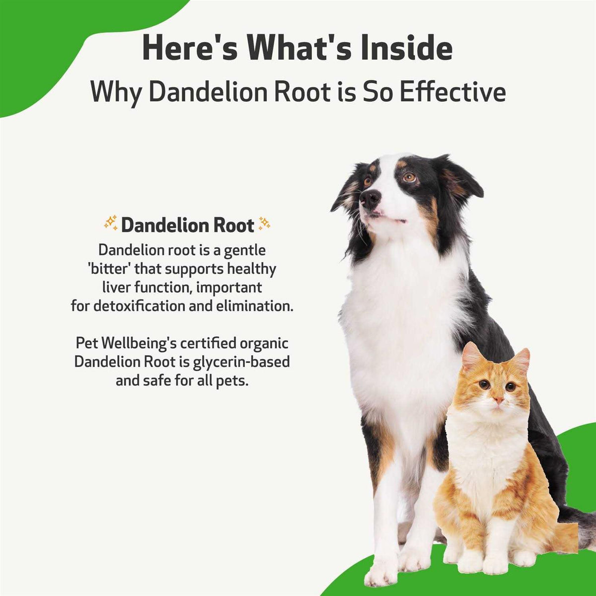 Dandelion Root Cat Liver and Digestive Support U80496