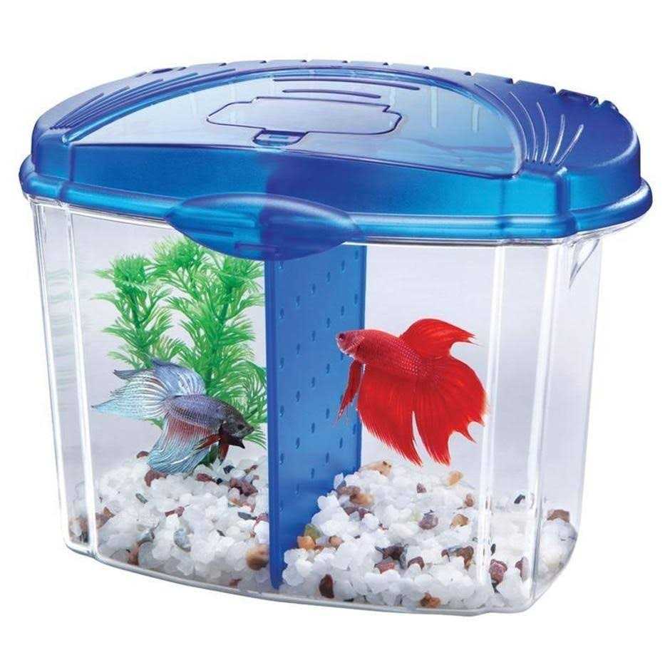 Betta Bowl Kit V523482