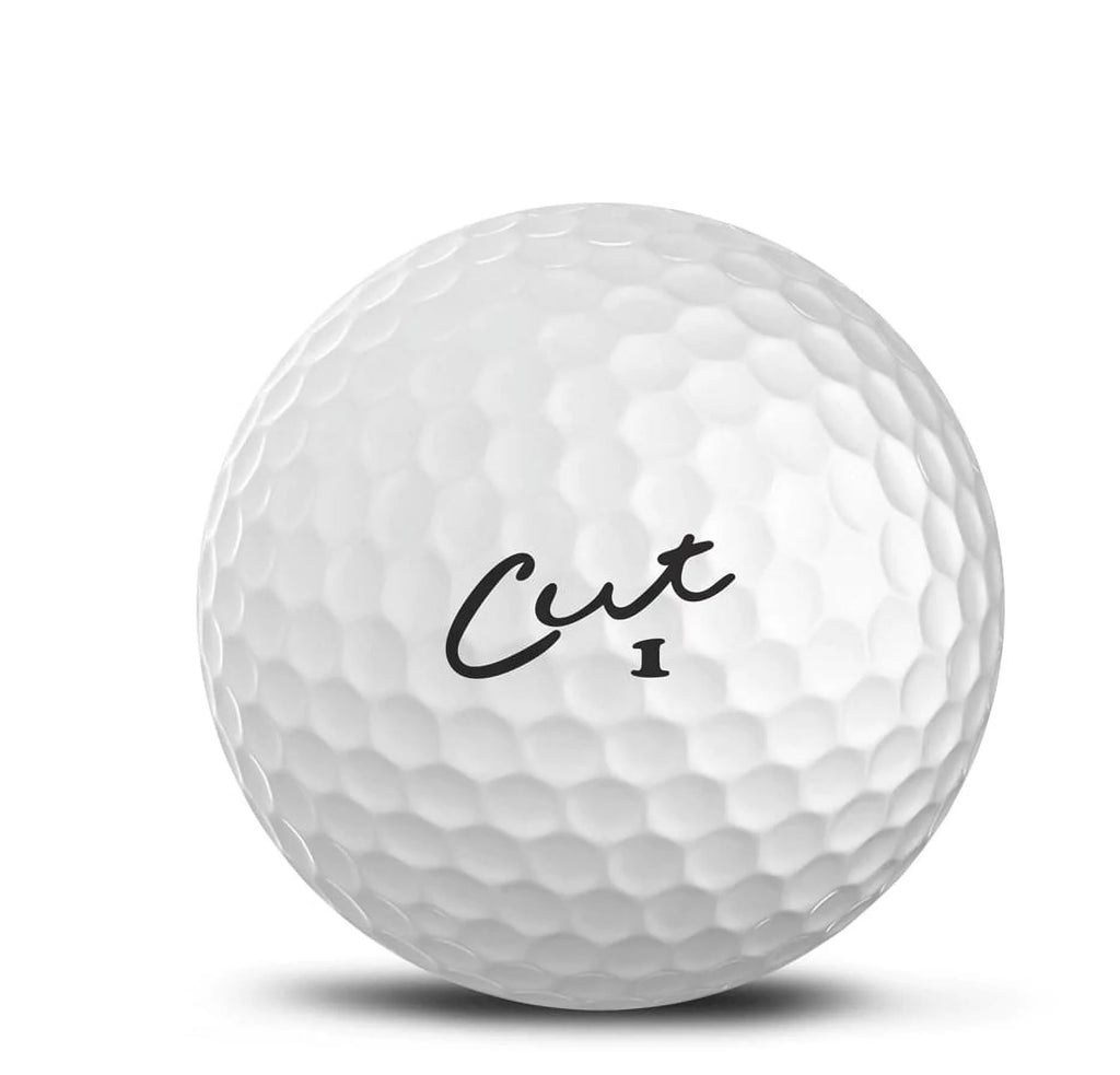 White 2 Piece Ionomer Golf Balls 24 Pack S937217