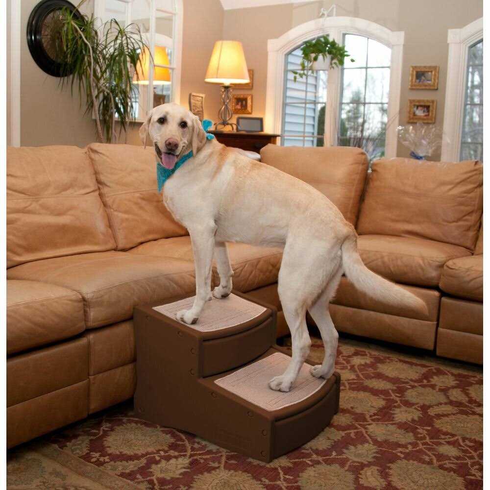 Pet Stairs A665815