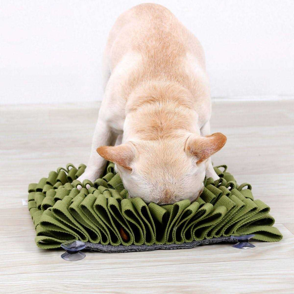 Interactive Anti-Skid Suction Pet Snuffle Mat C155
