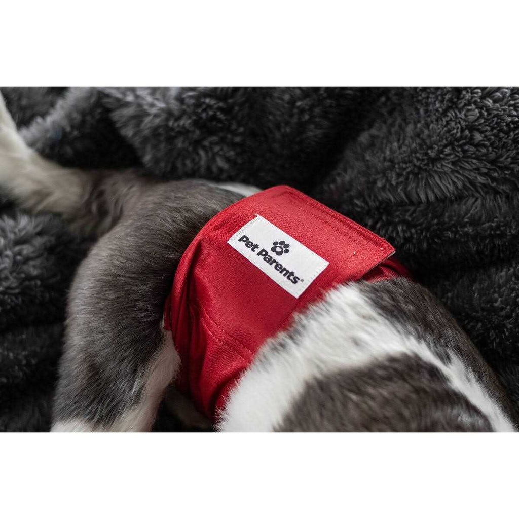 Washable Dog Belly Bands E9286