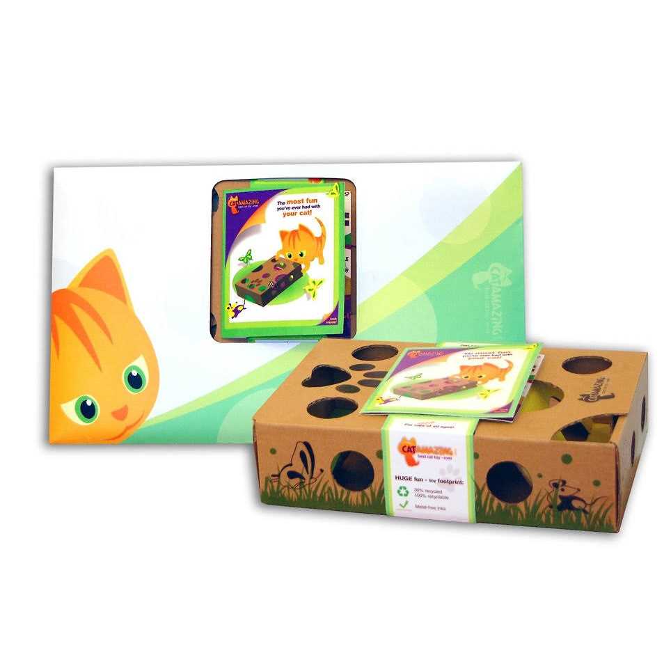 Interactive Cat Treat Maze Puzzle Feeder F93176