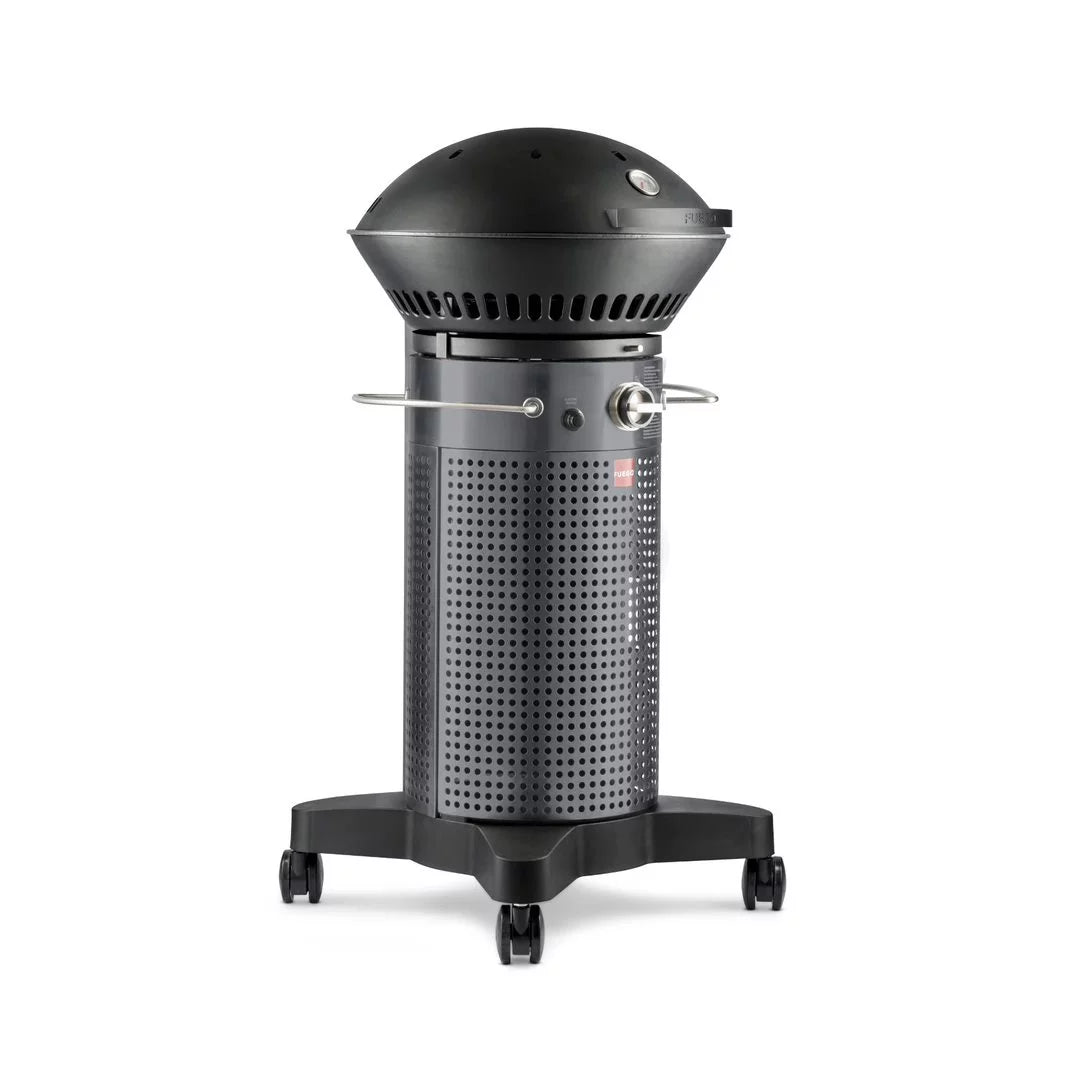 2-Burner Propane Gas Grill H18807