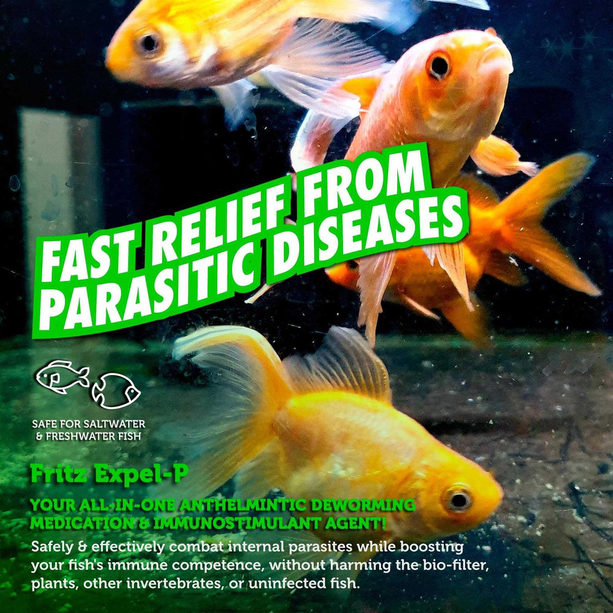 Aquatic Parasitic Disease Treatment D9498