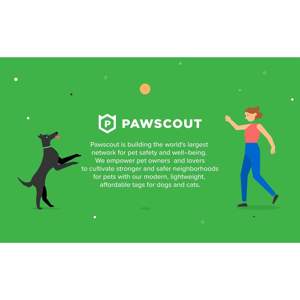 Smart Pet Tag X956883