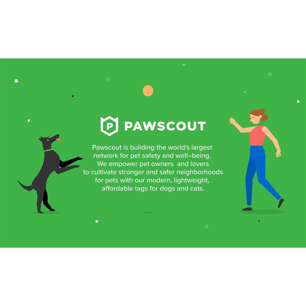 Smart Pet Tag X956883