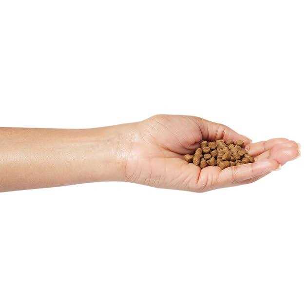 Dry Ferret Food H178