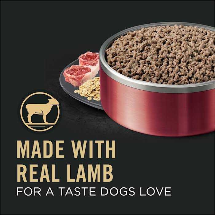 Sensitive Skin and Stomach Wet Dog Food Pate Lamb and Oat Meal J76333