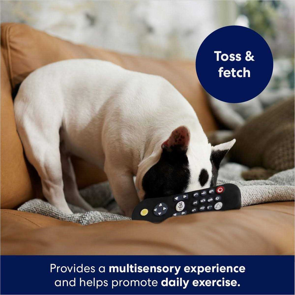 Remote Latex Squeaky Dog Toy H664396