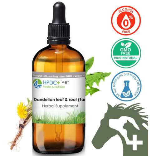 Dandelion Root Cat Liver and Digestive Support U80496