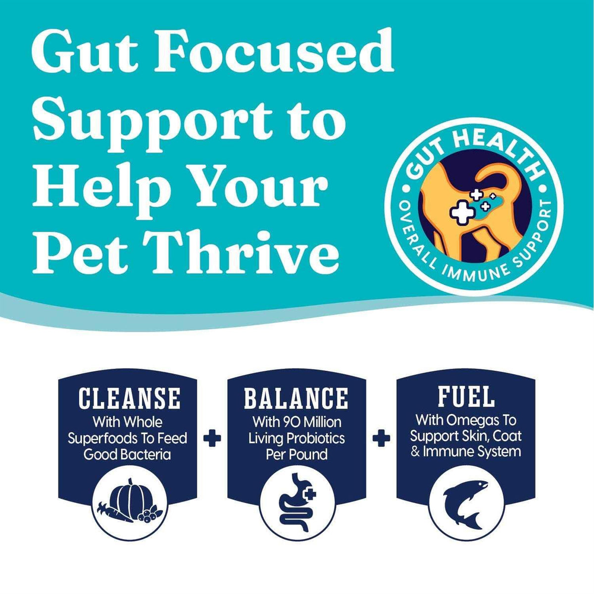 Gold Grain-Free Dry Cat Food H799
