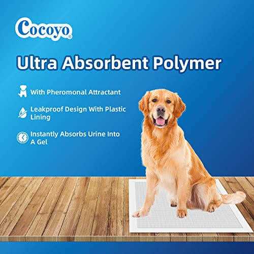 Training Pads C365091