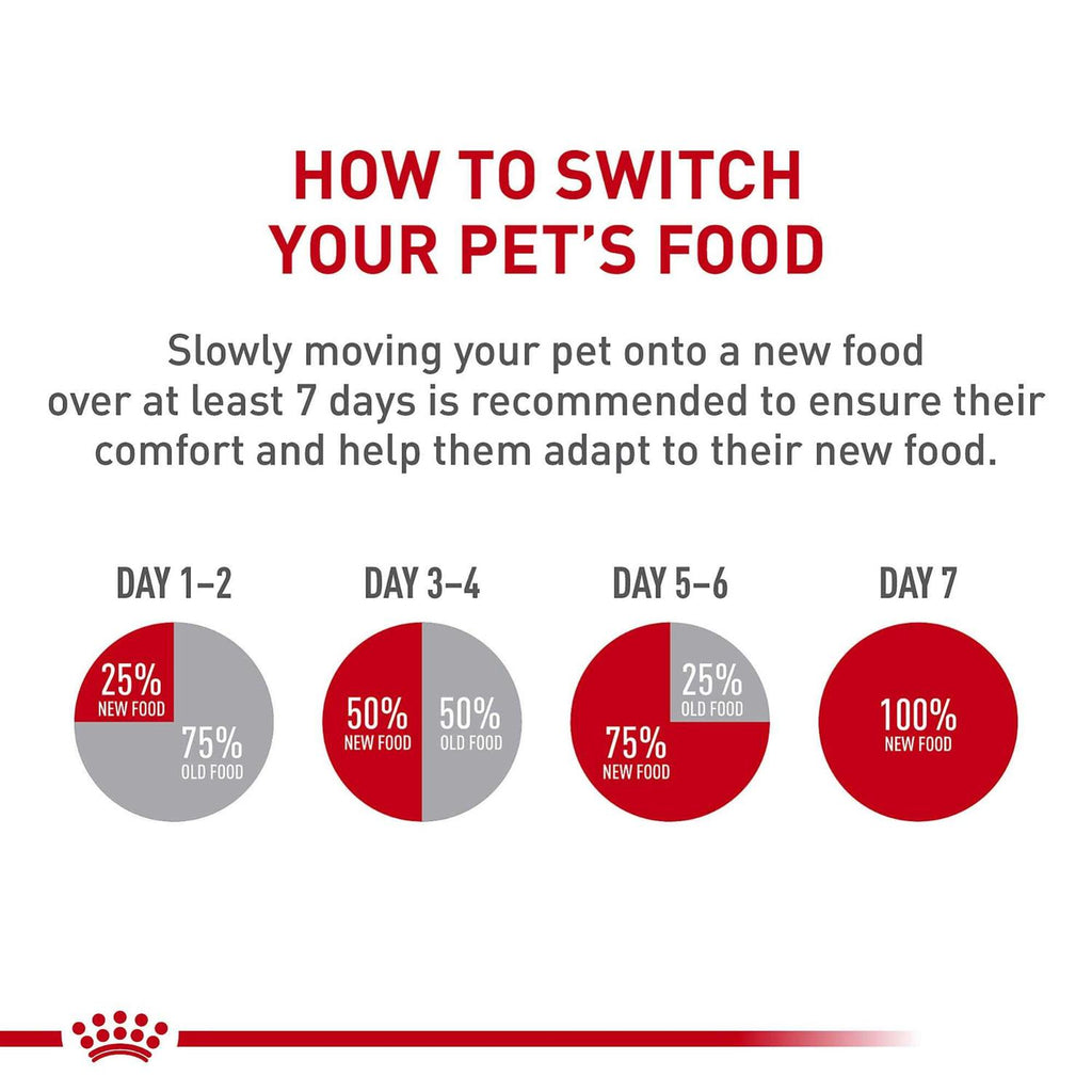 Wet Dog Food A5798