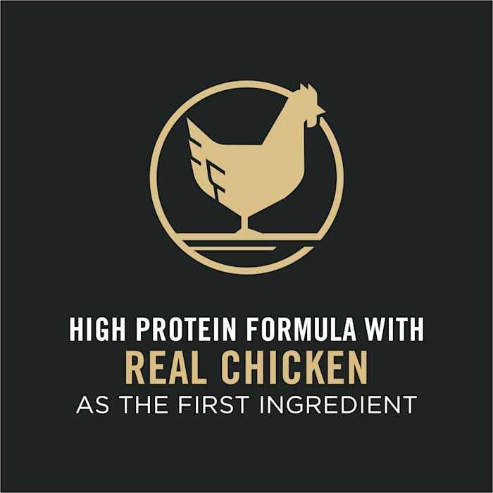 Chicken and Rice Formula Senior Dry Cat Food P57759