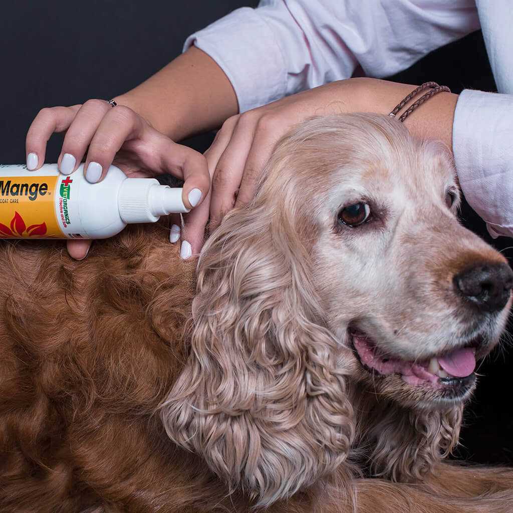 Dog & Cat Mange Skin Treatment O6422